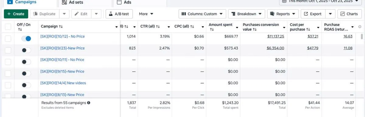 Meta Ads Manager: 14.07x average ROAS across 55 campaigns, October 2025